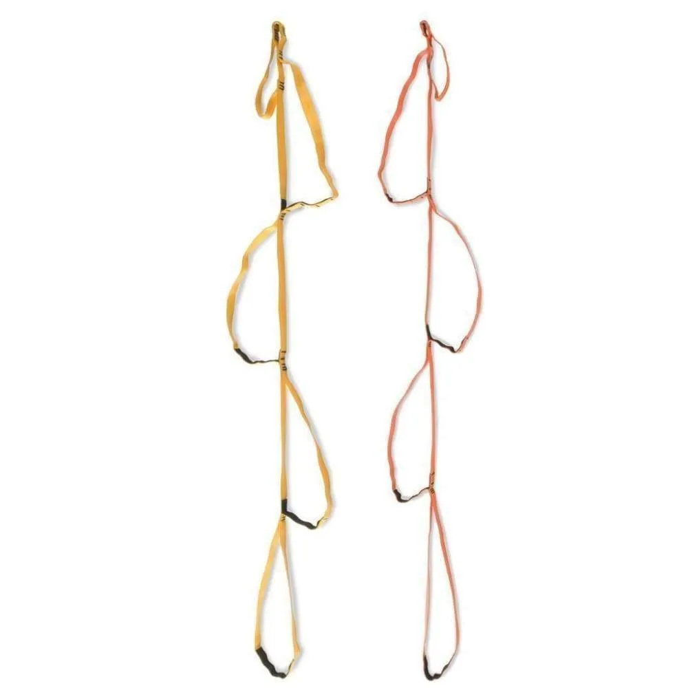 CMC Litter Harness Kit