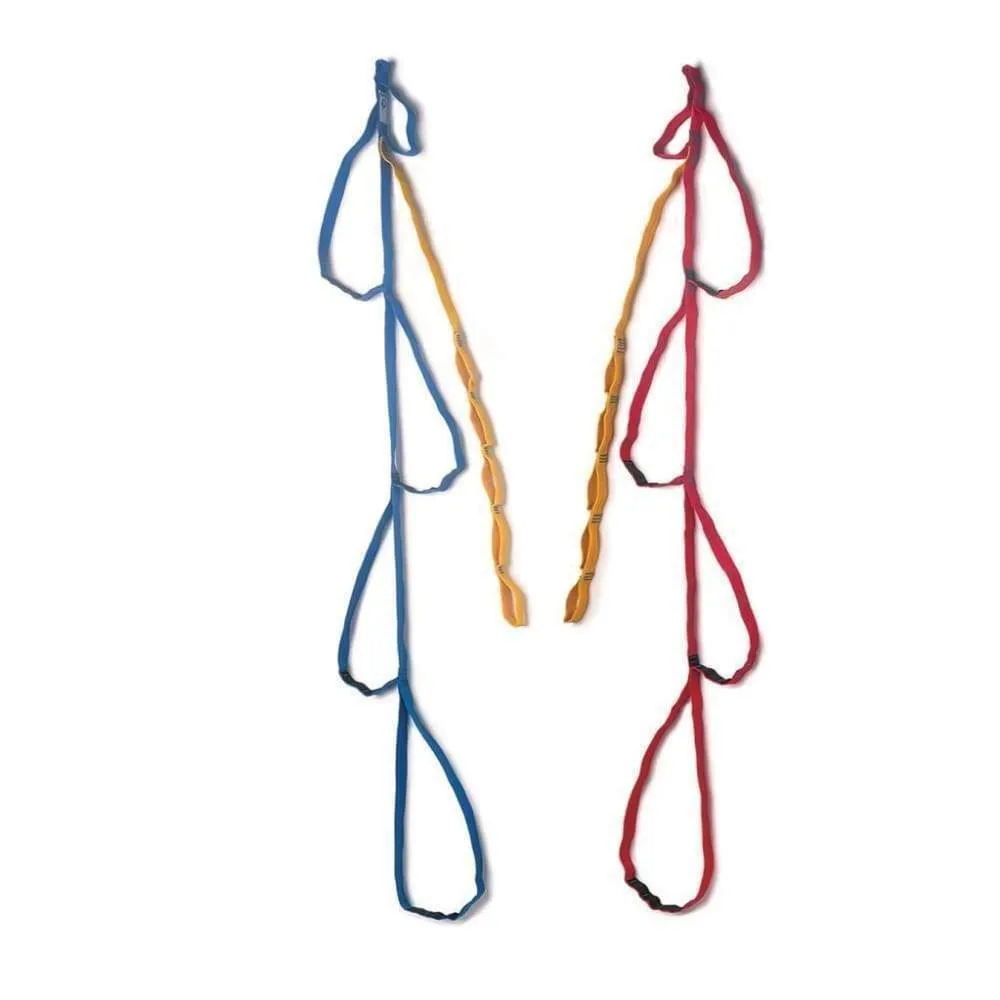 CMC Litter Harness Kit