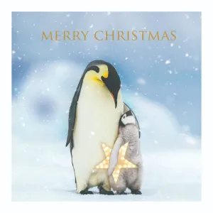 Frosty Penguins