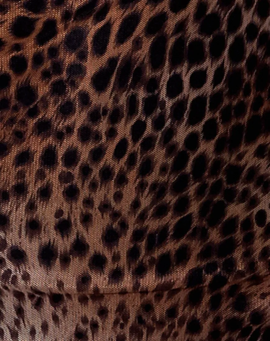 Enhanced Title: Sleek Gradient Cheetah Brown Mesh Jemina Dress