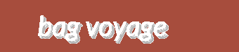 Bag Voyage - Functional Travel, Casual, and Specialty Bags for Every Journey